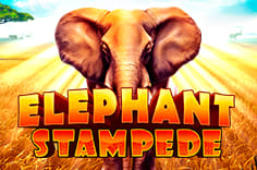 Elephant Stampede